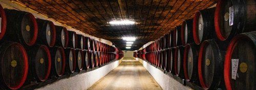 Especialistas en mantenimiento industrial de bodegas